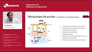 Chitosan and fermentation [upl. by Resay]