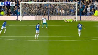 Jordan Pickford Penalty Save  Everton vs Newcastle 00 Highlights  Premier league 202425 [upl. by Eedeed]