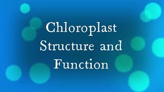 Chloroplast A Level Biology [upl. by Asirehc59]