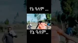 የኔ ዓለም  Amharic Gojam Music [upl. by Ut264]