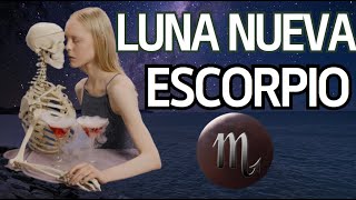 💎Descubre la 𝗟𝘂𝗻𝗮 𝗡𝘂𝗲𝘃𝗮♏️ ESCORPIO✨un Ritual Mágico para tí [upl. by Weibel395]