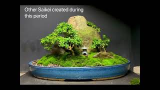 Saikei Bonsai Forest created with Kingsville Boxwood [upl. by Brathwaite698]