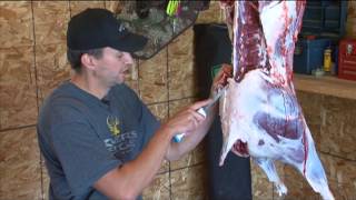 Michael Furseth Deer Skinning and Butchering on Midwest Outdoors [upl. by Ryun]