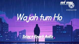 Wajah tum Ho SelowReverb Audio trendingzareenkhan armanmalik lofisong sadsong💔 hindisong [upl. by Norrie]