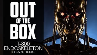 T800 Endoskeleton LifeSize Figure Unboxing [upl. by Benil]