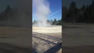 Geysers at Yellowstone National Park [upl. by Knoll]