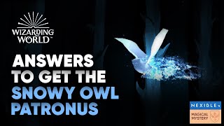 How to get Hedwig Snowy Owl Patronus on Wizarding World Pottermore  Hogwarts Legacy [upl. by Ikkim]