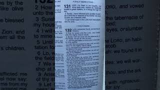 Psalm chapter 131 KJV FULL CHAPTER AUDIO VIDEO TEXT ENGLISH VERSION READ ALOUD [upl. by Anit]