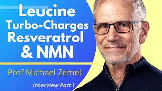 Leucine Amplifies The Effects Of Resveratrol amp NMN  Prof Michael Zemel Ep 1 [upl. by Arden]