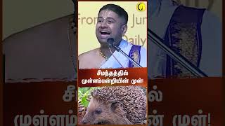 சீமந்தத்தில் முள்ளம்பன்றியின் முள் Sri Dushyanth Sridhar shorts [upl. by Vona618]