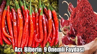 Acı Biberin Faydaları Ve Zararları [upl. by Nicolais]