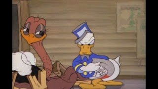 Donald Duck Donalds Ostrich Donald Duck Bellboy Donald Classic Cartoon Compilation [upl. by Sabrina]