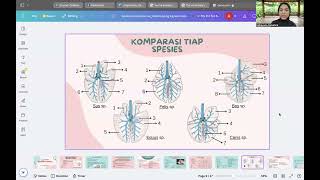 Sistema Respiratorius Raden Ajeng Kayana Sabita Nariswari 24545252KH12304 [upl. by Carling]