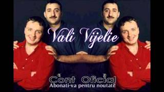 COSTI IONITA amp VALI VIJELIE amp ADRIAN MINUNE  OF OF OF MOR TOTI TIGANII OFFICIAL TRACK [upl. by Enaerb]