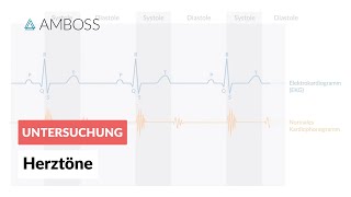 Physiologische Herztöne  AMBOSS  Video [upl. by Emmaline979]