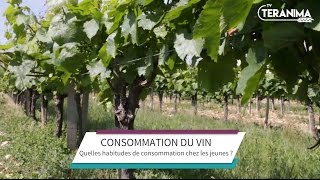 Le vin un plaisir nature pour les jeunes  Teranima TV [upl. by Anivlis694]