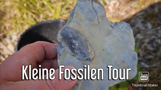 Kleine Fossilien Tour Muscheln Suchen folge 39 fossi outdoors outdoor [upl. by Putnem]