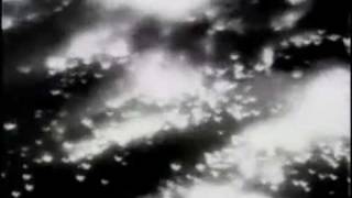 1945 Dresden Bombing Newsreel [upl. by Lanna]