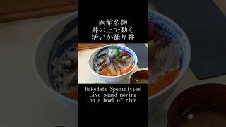 函館名物 丼の上で動く活いか踊り丼 Hakodate Specialties Live squid moving on a bowl of rice shorts food foodshorts [upl. by Atilrac]