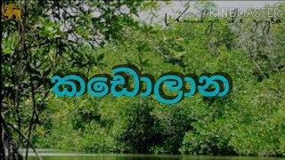 කඩොලාන  Kadolana [upl. by Yauqram]