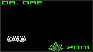 Dr Dre x Eminem x Snoop Dogg x Xzibit Type Beat quotCHRONIC 2quot [upl. by Enomsed247]