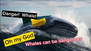 Whales can be dangerous [upl. by Milan568]