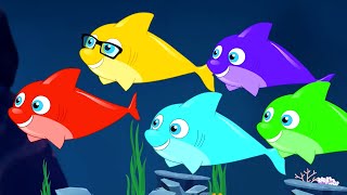 Five Little Sharks  The Shark Song  Nursery Rhymes and Baby Songs  Preschool Songs For Kids [upl. by Franklyn529]