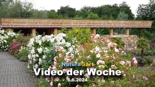 Video der Woche 362024 [upl. by Alleroif]