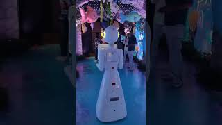 robot photo booth for wedding party [upl. by Ainotna487]