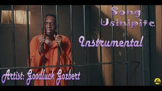 Goodluck Gozbert  Usinipite Lyrics Video [upl. by Doretta]