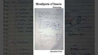 Mouthparts of Insects  Entomology  Types of Mouthparts  MSc zoology [upl. by Aurlie]