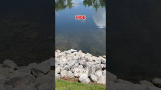 Fishing Videos  Fish CATCHING Tricks shorts fishing [upl. by Hsemar]