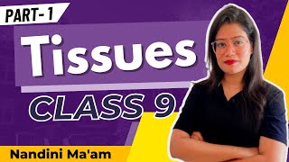 Tissues Class 9 Biology  Part 1  Definition amp Types of Tissues  NCERT Explanation in Hindi [upl. by Kath]