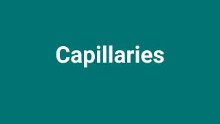 Capillaries Meaning and Pronunciation [upl. by Yarak]