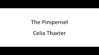 The Pimpernel  Celia Thaxter [upl. by Acirretal167]