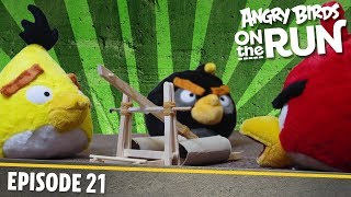 Angry Birds Go Gameplay Walkthrough Part 2  Kart Leveled Up Seedway iOS Android [upl. by Stewardson]