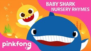 Where Are Sea Animals  Baby Shark Nursery Rhyme  Pinkfong Songs for Children [upl. by Anha]