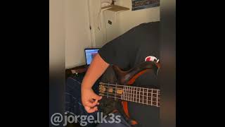 Eslabon Armado  Lamento Boliviano Bass Cover [upl. by Lanaj482]