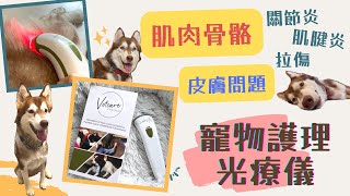 Photizo™ Vetcare│寵物護理光療儀│近紅外線治療│緩解疼痛│關節炎│肌腱炎│紅光│近紅外線│CC字幕 [upl. by Von206]