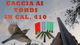 CACCIA AI TORDI IN CAL 410 [upl. by Elson]