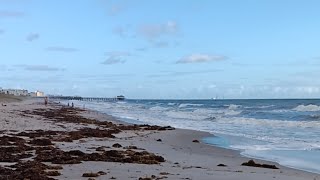 Live Webcam View  Cocoa Beach Pier [upl. by Siron671]