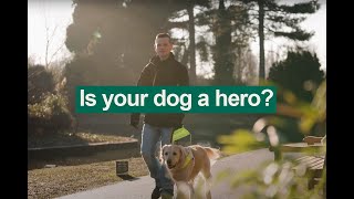 Nominate your hero for our Kennel Club Hero Dog Award 2023  The Kennel Club [upl. by Yllor]