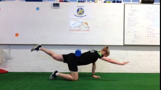 Quadruped Diagonals Neutral Spine by Joe Bullen Strength amp Conditioning [upl. by Citarella]