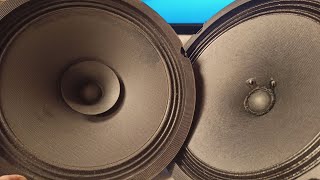 BG 20 fullrange speaker with tweeter dome VS BG20 NO tweeter dome  DIY speaker build [upl. by Ardeha]