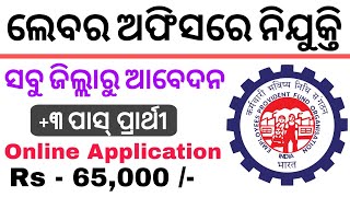 Labour Office Recruitment 2024  Salary  65000  PM  Odisha Latest Job Update  Check Details [upl. by Raseda400]