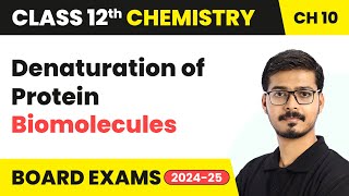 Denaturation of Protein  Biomolecules  Class 12 Chemistry Chapter 10  CBSE 202425 [upl. by Aneri213]