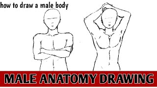 Male anatomy drawing  How to draw a body step by step [upl. by Werner]