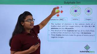 Class 9th – Polyatomic Ions  Atoms and Molecules  Tutorials Point [upl. by Eisdnil]