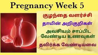 Pregnancy week 55 weeks pregnant symptoms in tamilfirst trimester pregnancy in tamil5thweek tamil [upl. by Gnidleif]