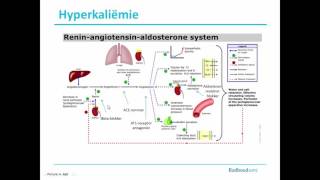 Samenvatting Cardiovasculaire middelen Module C [upl. by Tull111]